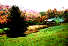 [Cabin on New England hillside]